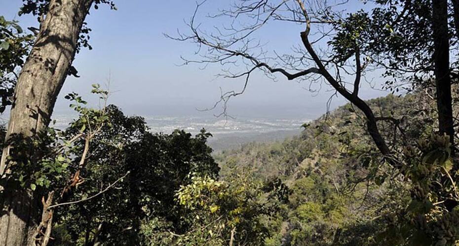 Forrest Raja Ji National Park, Lansdowne 3